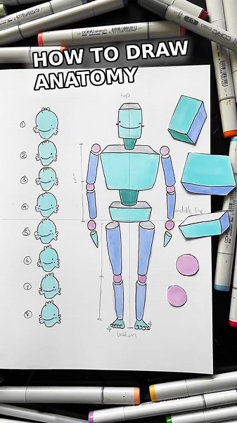 How to Draw Basic Anatomy Using Simple Shapes