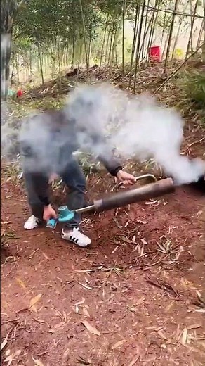 Fumigation process for preventing and controlling rodent infestations in farmland