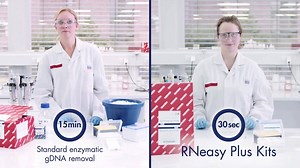 Looking for fast, convenient & cost-effective RNA purification for most cells and tissues? | QIAGEN