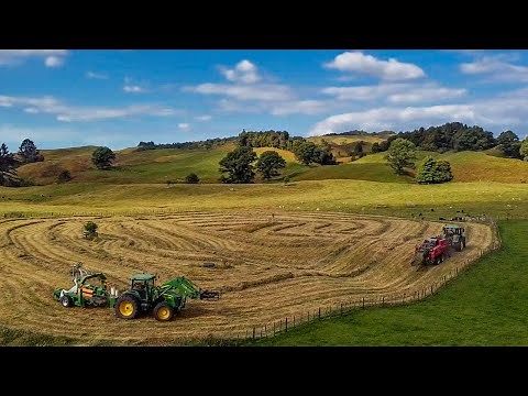 Making Silage/Baleage in Rural NZ | Feeding Out