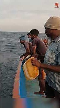 Back to back Bonito hooked with fishing Sabiki as bait! #fishing #fishingvideo #fishingtime