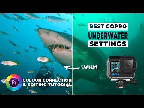 Best GoPro 10 Underwater Settings & Colour Correction Editing Tutorial