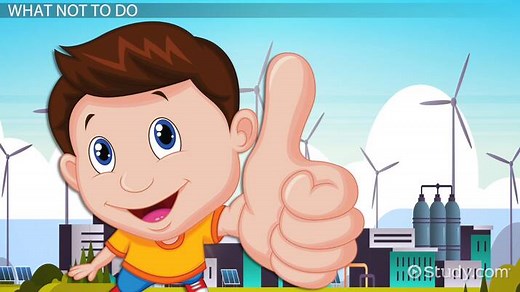 Protecting Living Things & the Environment: Lesson for Kids