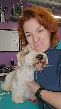 Nail trimming tutorial! How to cut and file your dogs nails safely, even on dark nails! 🐶💅