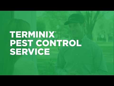 How Does Terminix Pest Control Work?