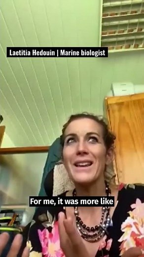 Huge coral reef discovered off the coast of Tahiti