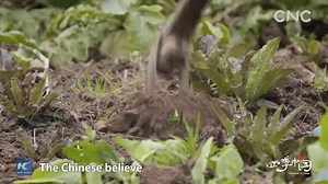 535K views · 2.1K reactions | Lichun, or the Beginning of Spring as it is known, is the first of the 24 solar terms. In Guizhou province of China, "Spring Announcers" go from house to house to announce the arrival of spring to ensure everybody knows that it's time to start ploughing | Xinhua Culture&Travel | Facebook