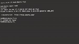 讓 Linux tty 預設使用英文，避免產生亂碼！