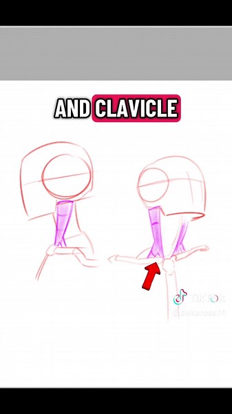 Study Anatomy Drawing Techniques for Artists