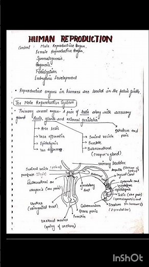 class 12 human reproduction handwritten notes with pdf bio for boards and neet #class12
