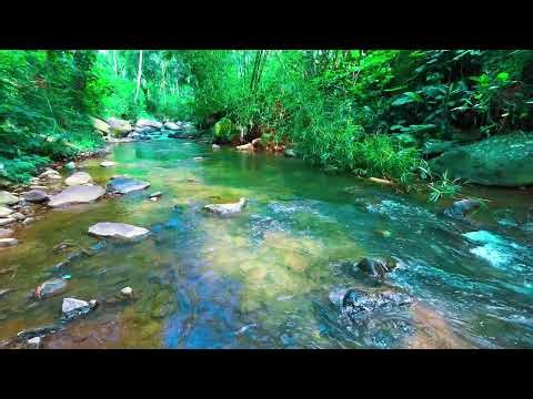 Spring River | Relaxing Stream & Nature Sounds for Sleep, Meditation & Focus
