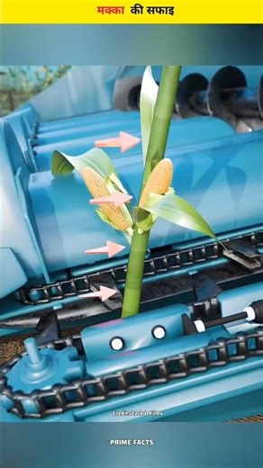How Corn Is Cleaned So Fast by Machines