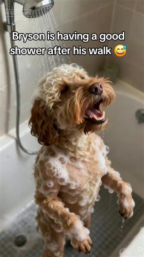 If only it was this easy #dogsoftiktok #fypppppppppppppp #tik_tok #animalsoftiktok #tik_tok