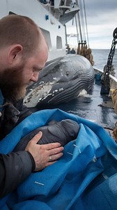 16K views · 82 reactions | Ghost client | Ghost client | Facebook