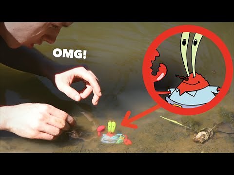 I CAPTURED MR KRABS IN REAL LIFE!
