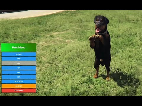 Fivem Custom PETS Script [Standalone/ESX/QB]
