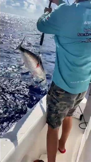 Fish Finder Makes All Difference! #fishing