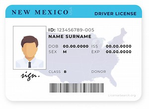 New Mexico Driver License | License Lookup