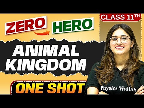 Animal Kingdom | Full Chapter in ONE SHOT | Chapter 4 | Class 11 Biology 🔥