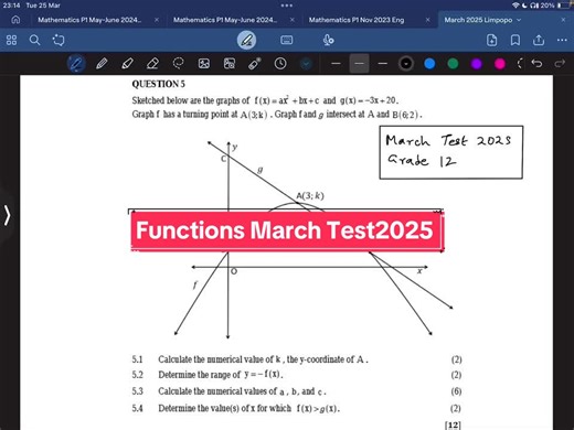 Parabolic Functions Test Preparation for Grade 12