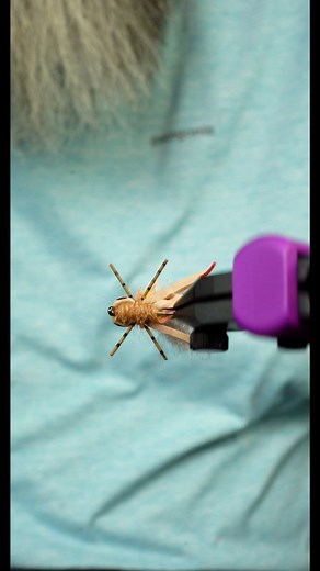 The Twisted Foam Hopper has one of the coolest hopper patterns we've tied. What's your favorite hopper pattern? #fishing #flyfishfood #flytying #hoppers #dryfly #dryflyfishing | Fly Fish Food