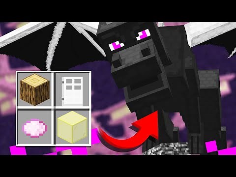 BEATING the Ender Dragon using RANDOM Drops (Minecraft Randomizer #6)