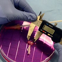 Video: Engineering 3D Cellularized Collagen Gels for Vascular Tissue Regeneration