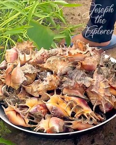 17M views · 249K reactions | Adobong Saang (Spider Shell) | Joseph The Explorer | Facebook