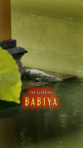 This temple is protected by crocodile 😳 | ananthapura lake temple | travelbee | temple