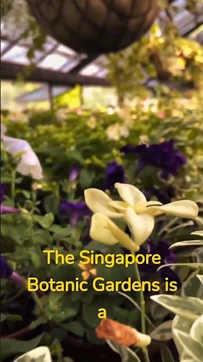 Top 5 best botanical garden in the world