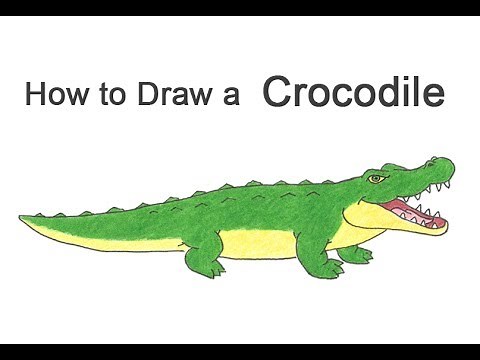 How to Draw a Crocodile / Alligator (Cartoon)