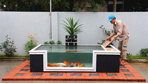 DIY fish tank: Simple aquarium design for beginners