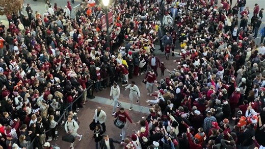 20K views · 577 reactions | An aerial view of the final Gamecock Walk of the 2023 season. | GoGamecocks.com | Facebook