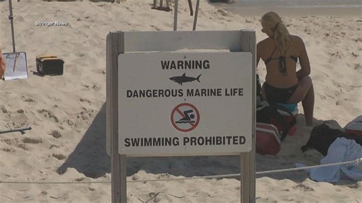 Could global warming be a cause for more shark encounters?