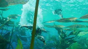 Every Upcoming Sci-Fi Movie Sequel Releasing In 2025