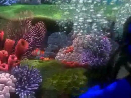 Finding Nemo Drop Off