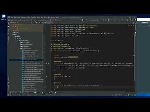 Bookmap Simplified API Setup Basics continued