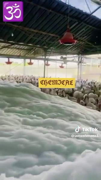 James fenenz (@jamesfenenz3)’s videos with original sound - James fenenz