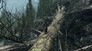 Immersive Fallen Trees SSE