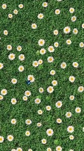 Make every day Earth Day 🌍🌼❤ | Samsung