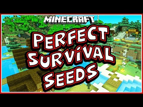 TOP 10 PERFECT MINECRAFT SEEDS (Minecraft 1.16.2 Seeds Java Edition) | Minecraft Survival