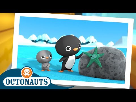 ‪@Octonauts‬ - The Great Arctic Adventure | Earth Day 🌎 Special! | Season 3 | Cartoons for Kids