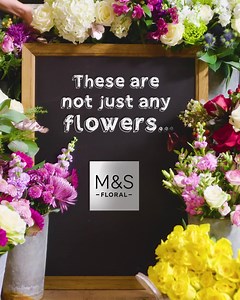 59K views · 283 reactions |  Send Good Housekeeping-approved flowers with added 'WOW!' Shop online now with free UK delivery, plus the add-ons like Percy Pigs and prosecco. These are not just flowers. These are M&S flowers. | Marks and Spencer | Facebook