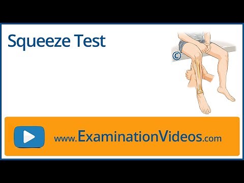 Squeeze Test