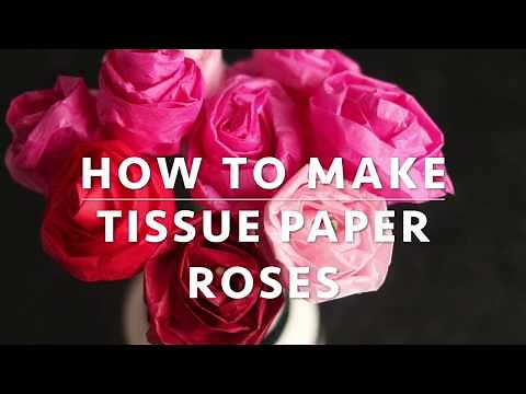 Tissue Paper Roses