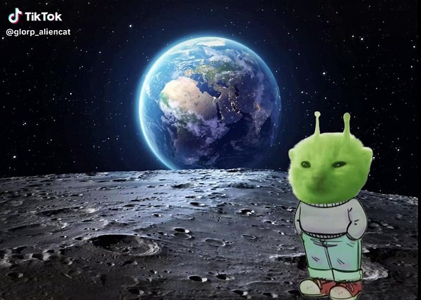 Glorp: The Cute Alien Cat Meme Revolution