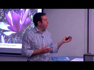 Tree Species Selection for Green Infrastructure: A Guide for Specifiers