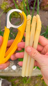 49K views · 157 reactions | Slicer vs green beans #asmr | Fast Easy Hacks | Facebook