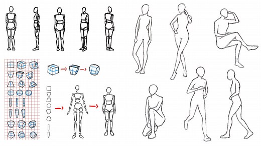 Drawing For Complete Beginners - Anatomy Made Easy | Fanny Richard | Skillshare