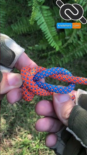 The Easiest Way to Tie Two Ropes Together 💡💪 #knotshort #fblifestyle